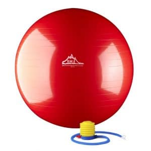 Best Exercise Ball and Buy Guide 4